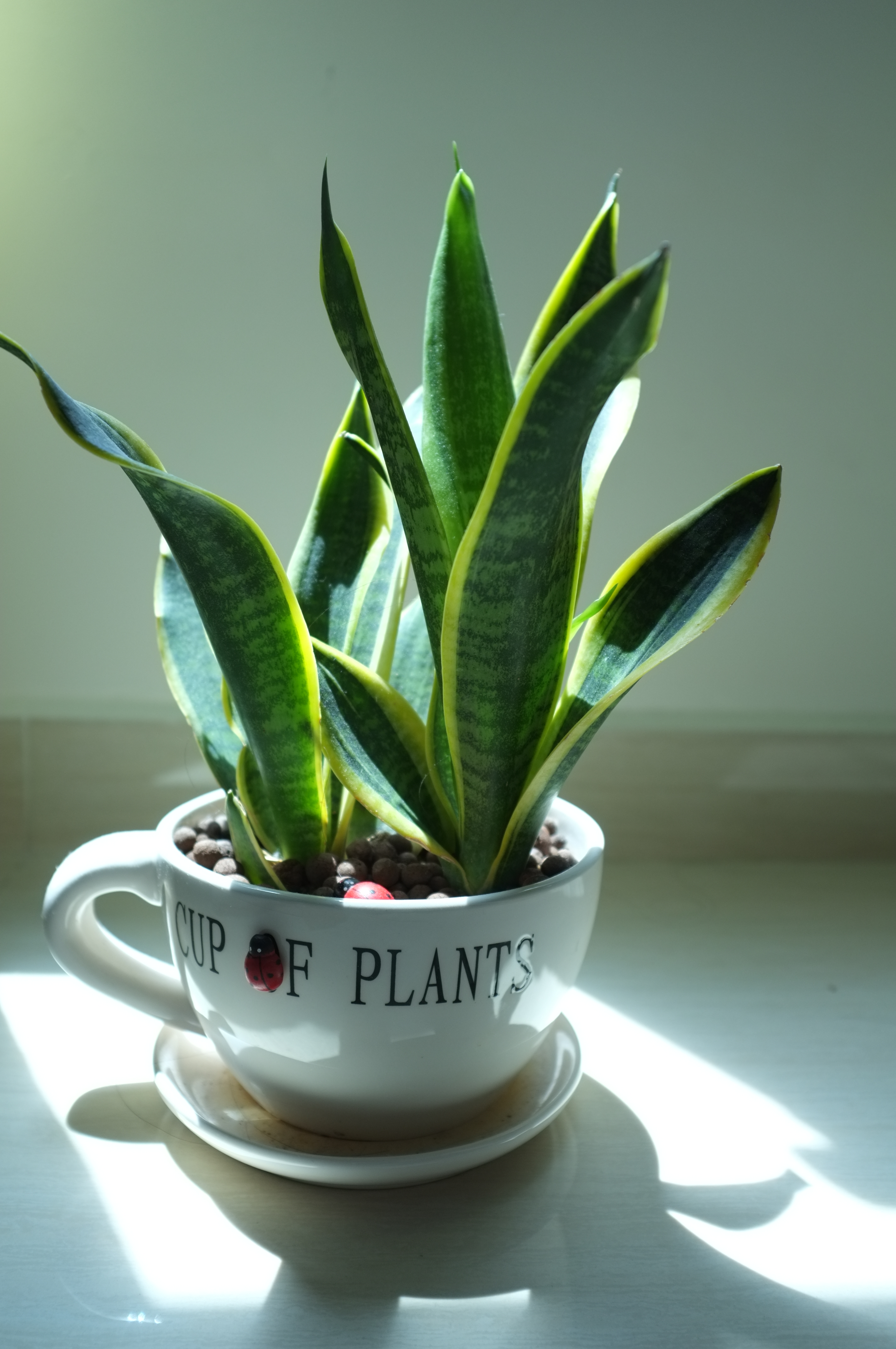 dscf2187.jpg