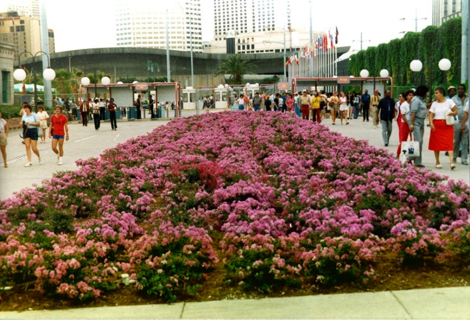 www.crapemyrtle.com