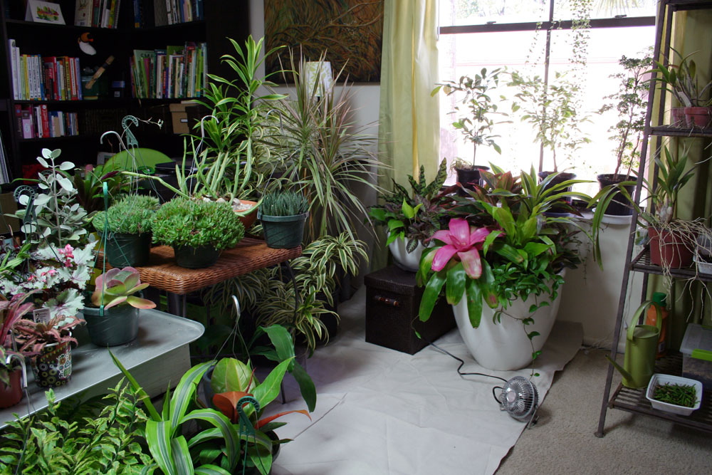 garden_indoors.jpg