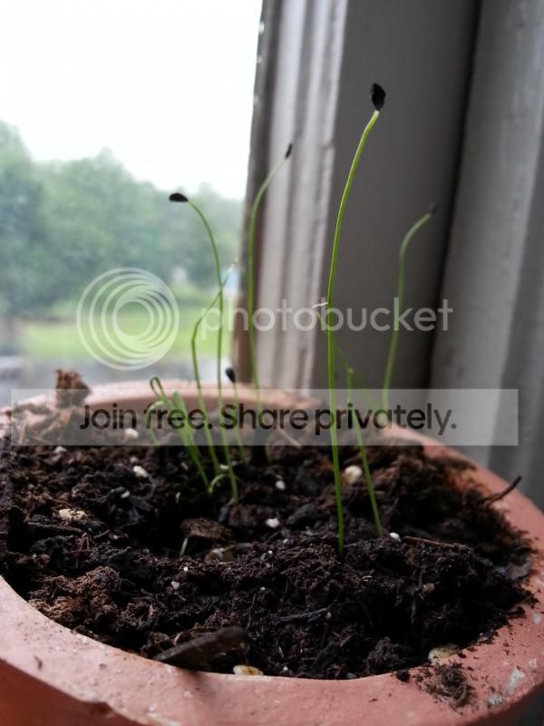 2014-06-25180714_zpscb510d1c.jpg
