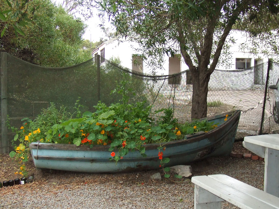 unusual-planters-02.jpg