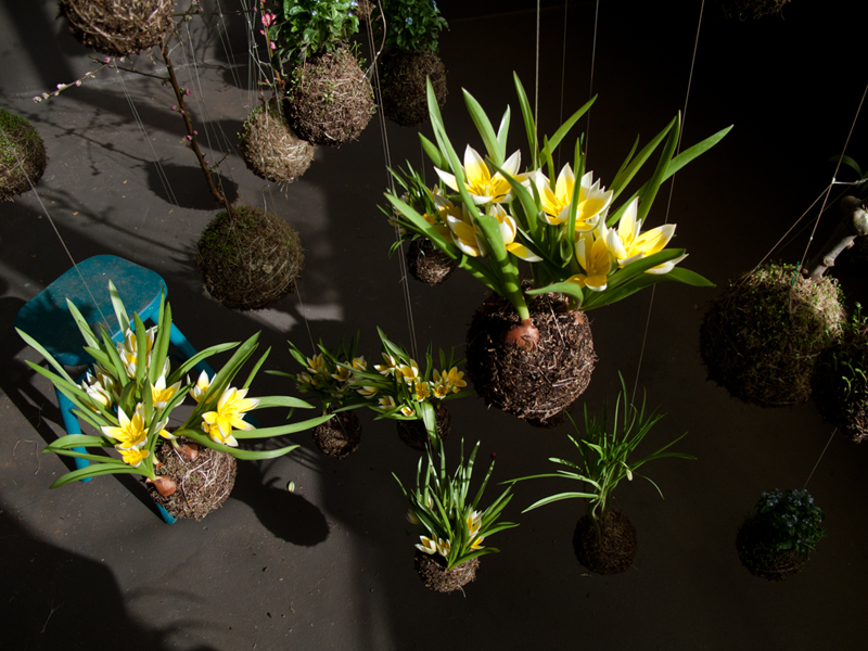 string-gardens-10.jpg
