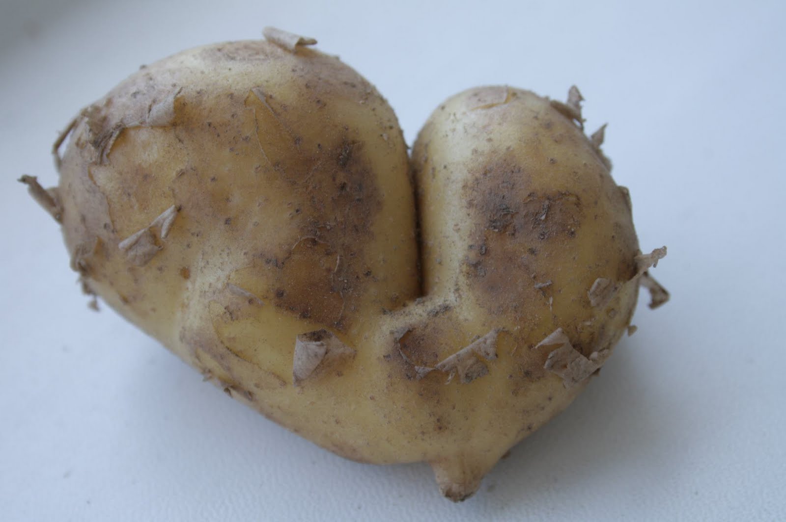 serce+z+ziemniaka.jpg