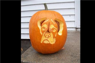 dog+pumpkin+4.jpg