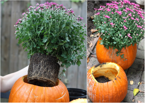Pumpkin+Planter.jpg