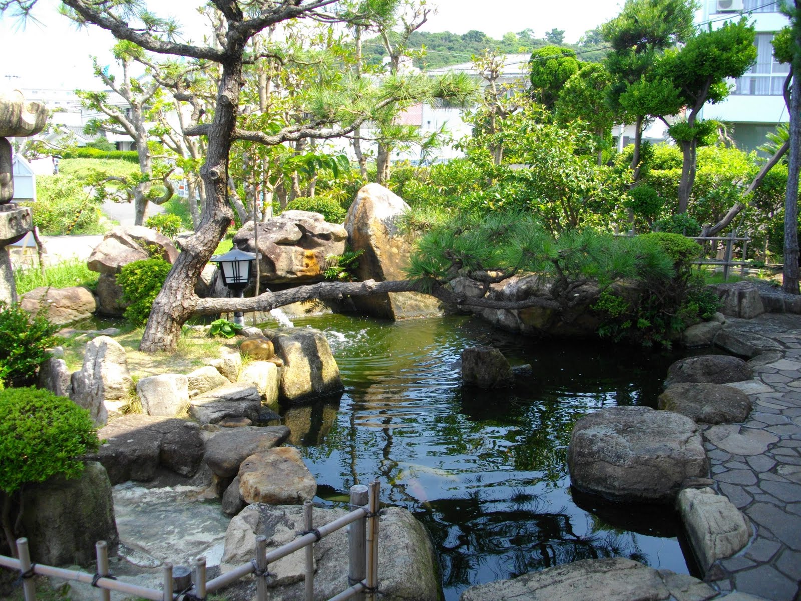Traditional+Japanese+garden.JPG