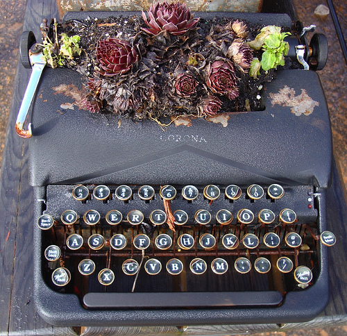 zen-repurposed-typewriter-planter1.jpg