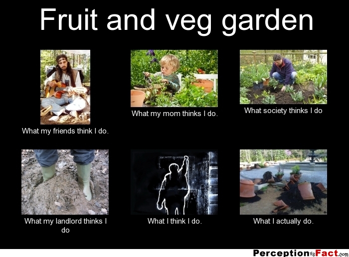 frabz-Fruit-and-veg-garden-What-my-friends-think-I-do-What-my-mom-thin-1a107a.jpg