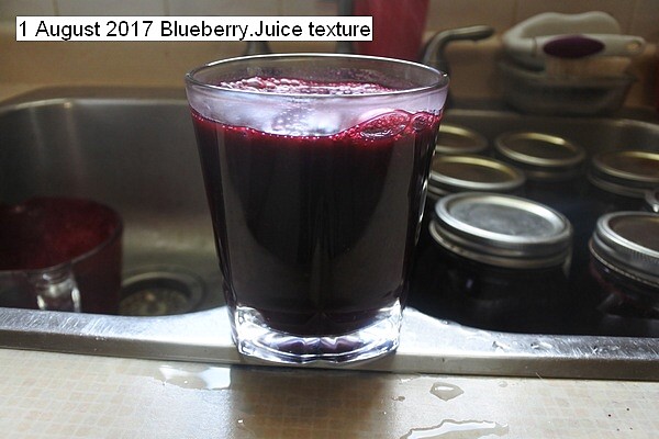 blueberry%20025_std.jpg