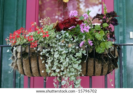 stock-photo-planter-hanging-on-railing-with-beautiful-flowers-and-plants-15796702.jpg