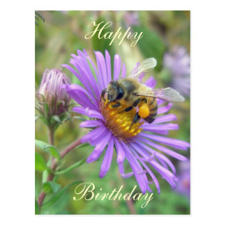 honeybee_on_asters_birthday_coordinating_items_postcard-r3aba6ea7088c4408ae2bdd9701b08935_vgbaq_8byvr_324.jpg