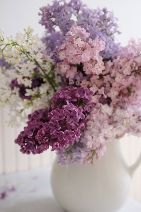 lilac-bouquet.jpg