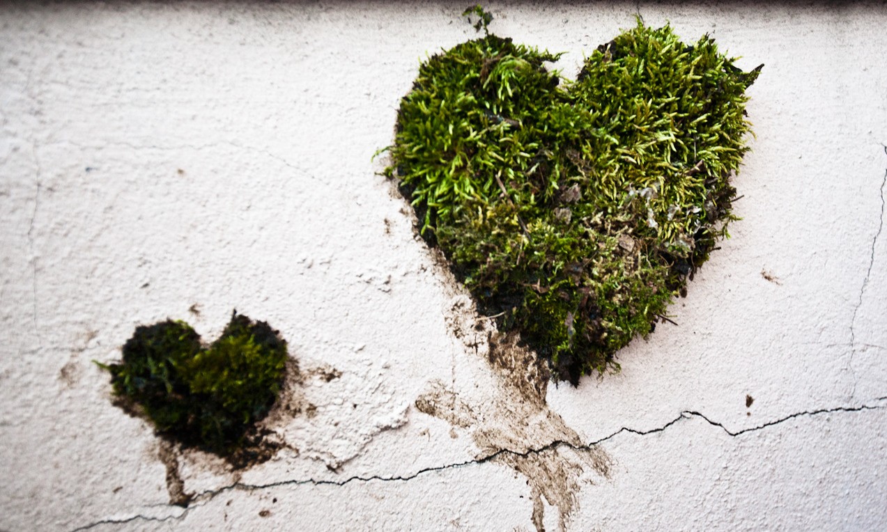 heart-shaped-moss-graffiti-e1366037163555.jpg