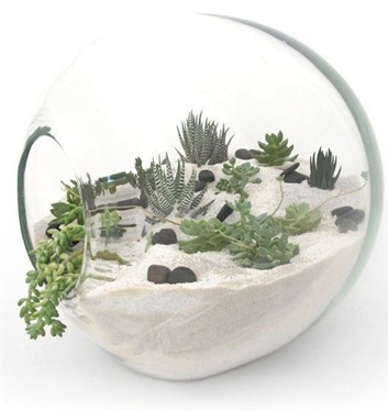 james-modern-bespoke-terrarium.jpg