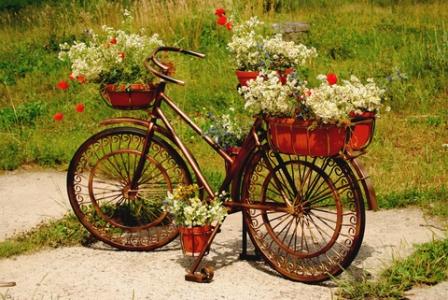 Design_a_Garden_Focal_Point_Dreams_Paid_artistic_bike.jpg