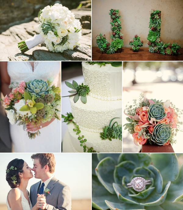 newport-wedding-succulents.jpg