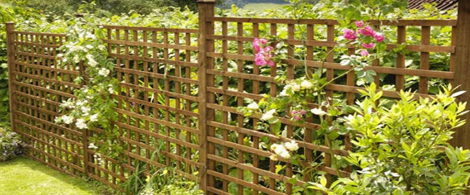 trellis-fencing-nottingham-fs.jpg