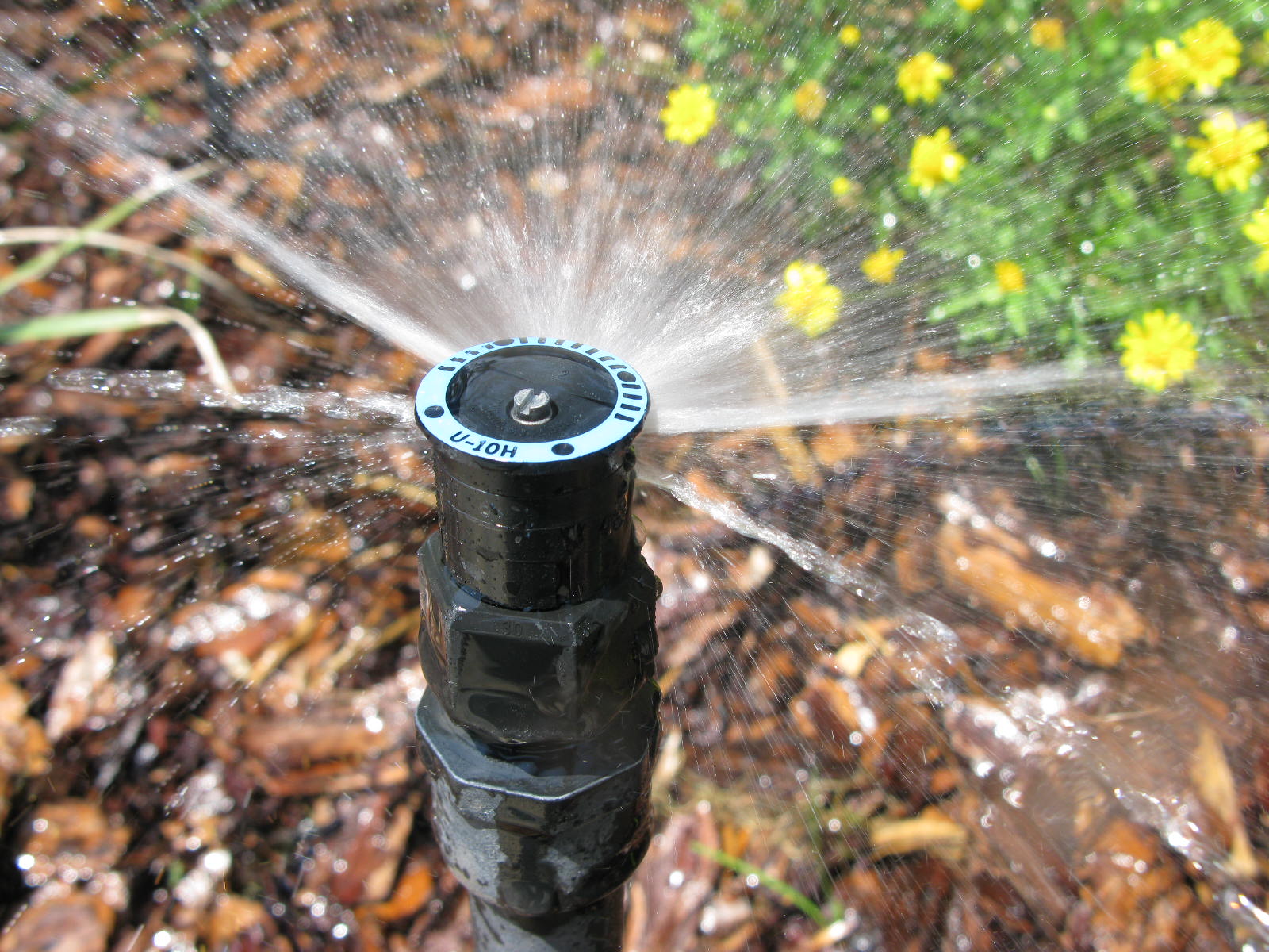 Rainbird-undercut-nozzles-sprinkler-irrigation-system.jpg