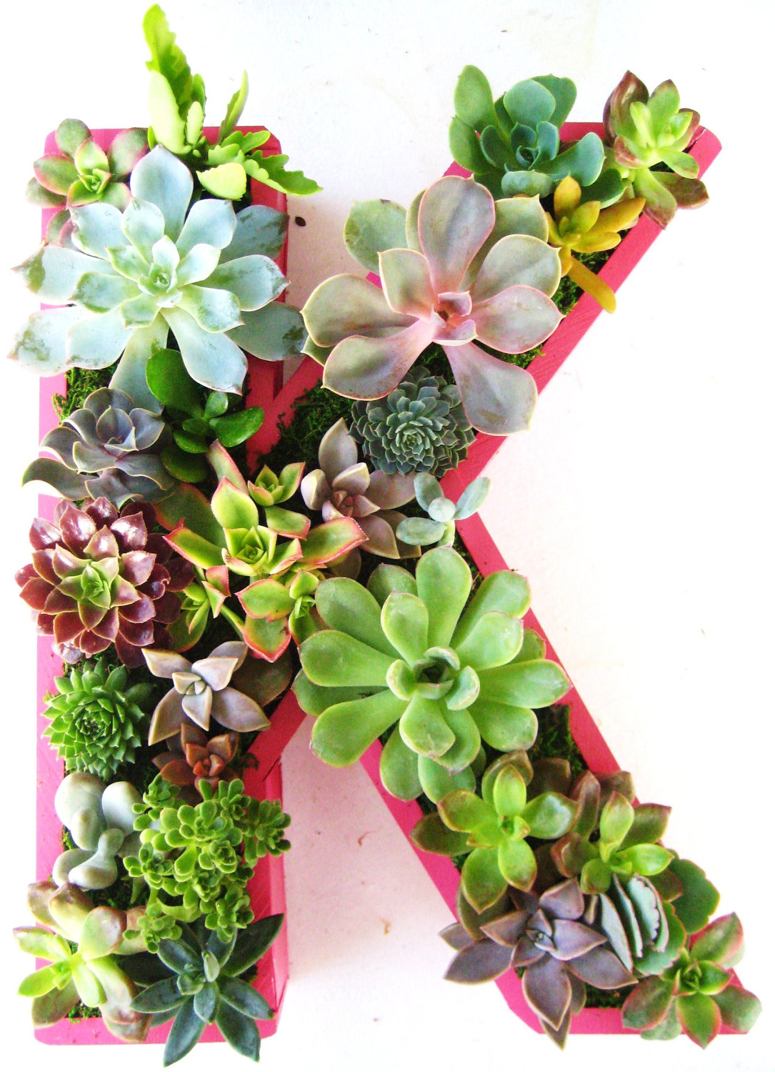 15-Natural-and-Handmade-Living-Succulent-Decorations-7.jpg