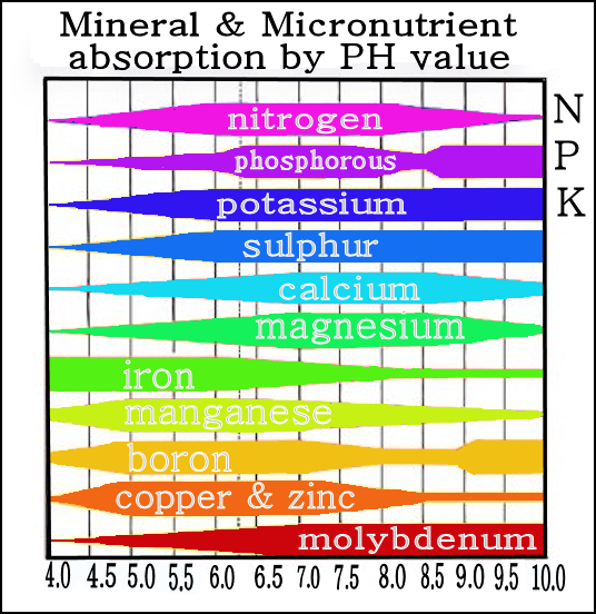 mineral-absorption-to-ph-value-chart.png