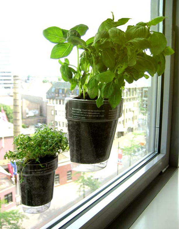 window-herbs-suction-cup-planters.jpg