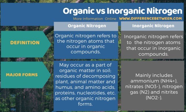 Difference-Between-Organic-and-Inorganic-Nitrogen-Tabular-Form-1.jpg