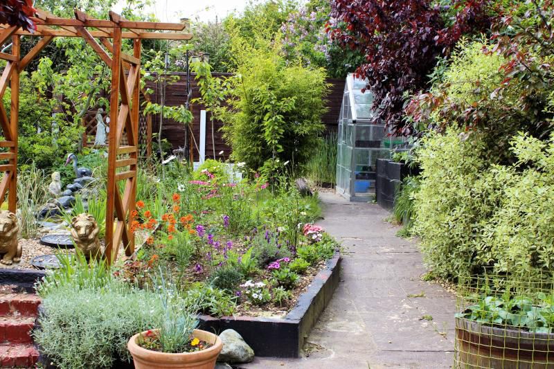 Wiseowls Garden | Gardening Forums